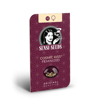 a box of cosmic kiss feminized seeds