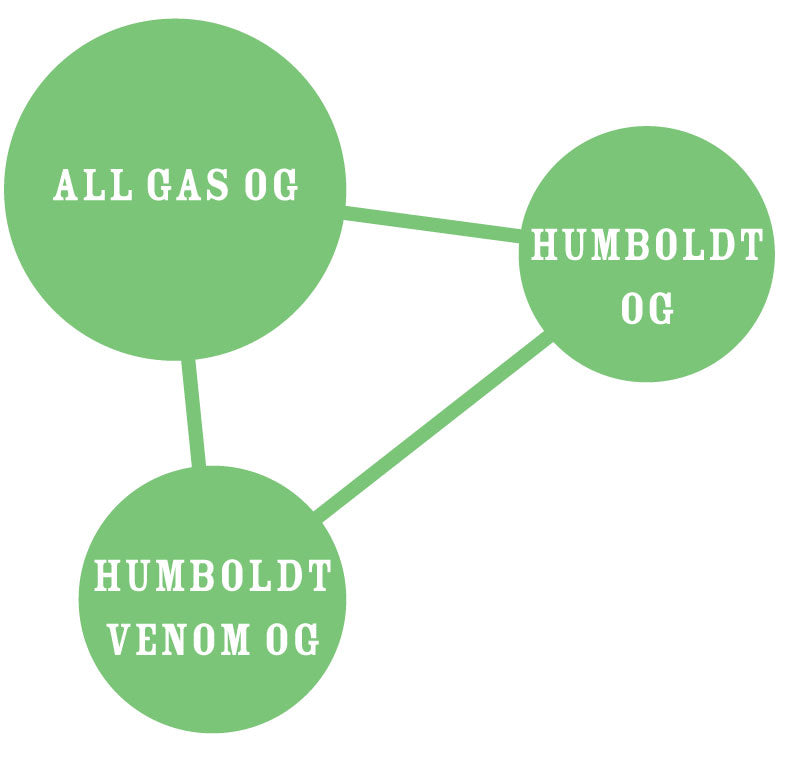 a diagram of a humboldt venom og