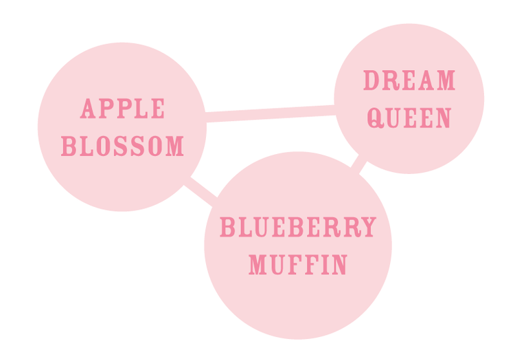 a diagram of a blueberry muffin with the words dream, dream, queen