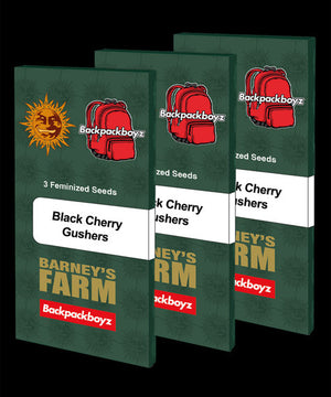 three packs of black cherry bushers