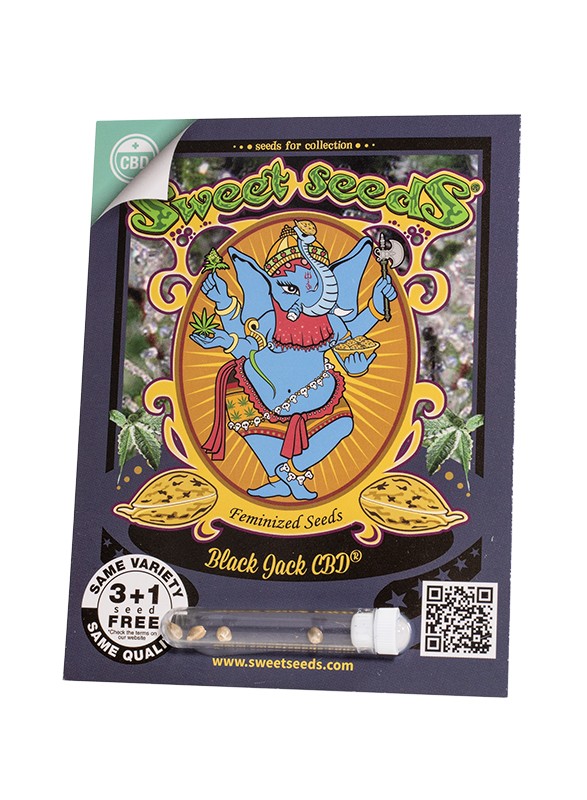 a card with a picture of an elephant on it