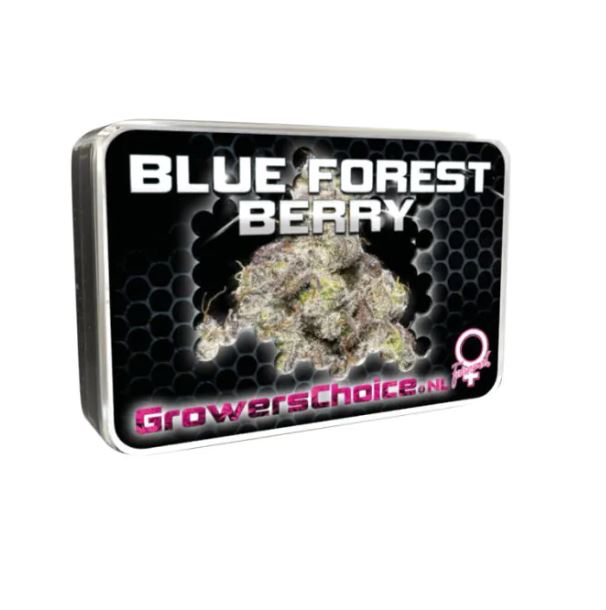 a tin of blue forest berry