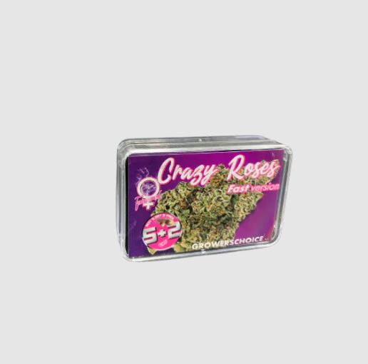a tin of candy roses on a white background