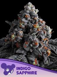 a pile of marijuana sitting on top of a table