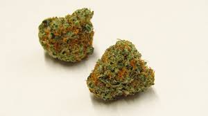 two pieces of weed sitting on top of a table