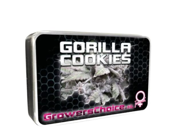 gorilla cookies in a tin on a white background