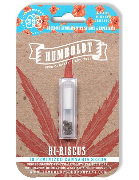 a package of cannabis seeds in a package