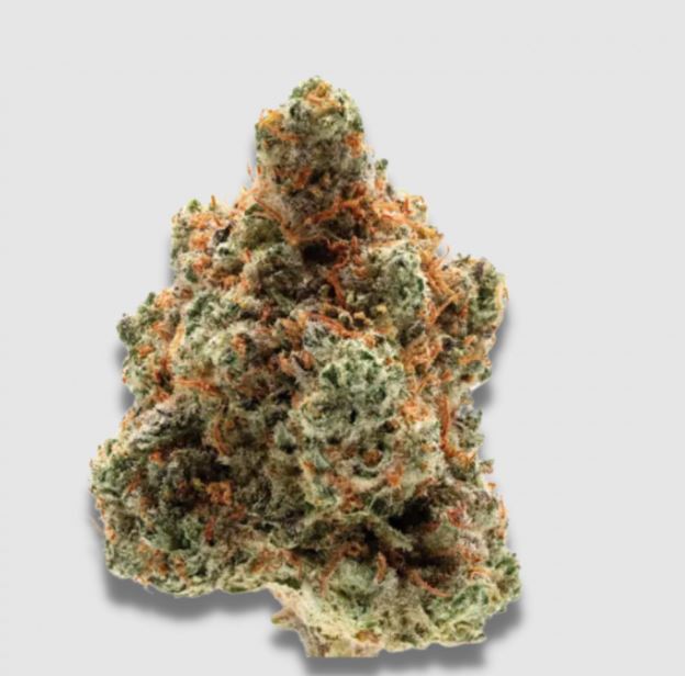 a close up of a flower on a white surface