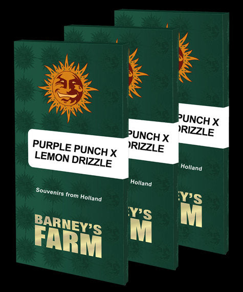 three books of purple punch and lemon drizzle