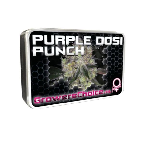 a tin of purple dosi punch on a white background