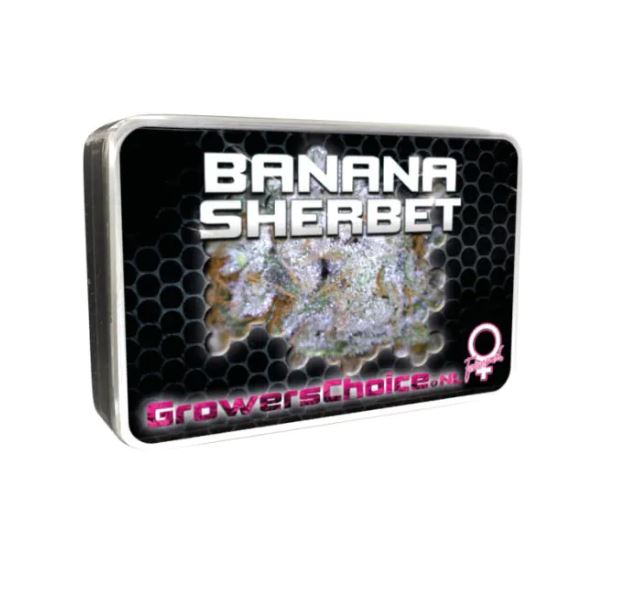 a tin of banana sherbet on a white background