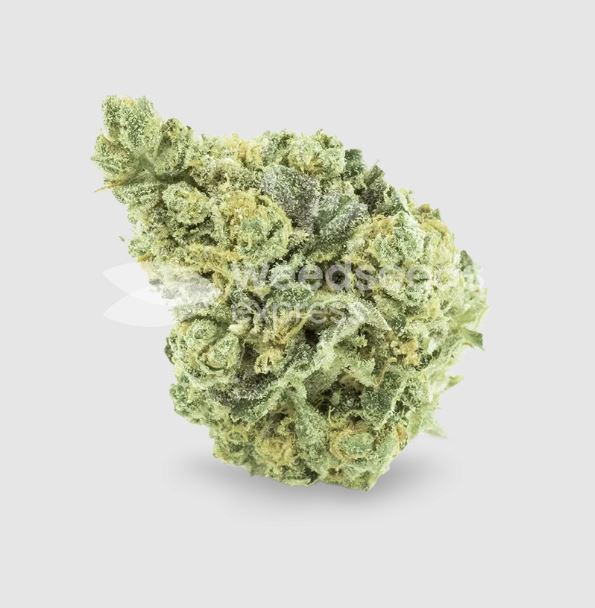 a close up of a green marijuana flower