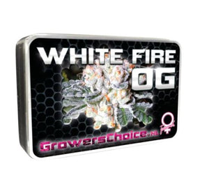 a tin box with flowers on it