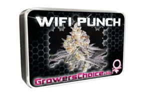 a tin with a picture of a marijuana plant in it