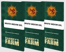 three books of barney's farm, white widow and white widow xxl