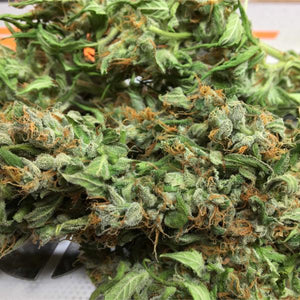 a close up of a plant on a table