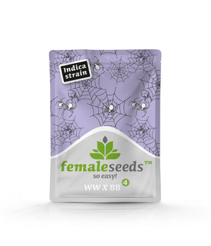 a bag of female seeds on a white background