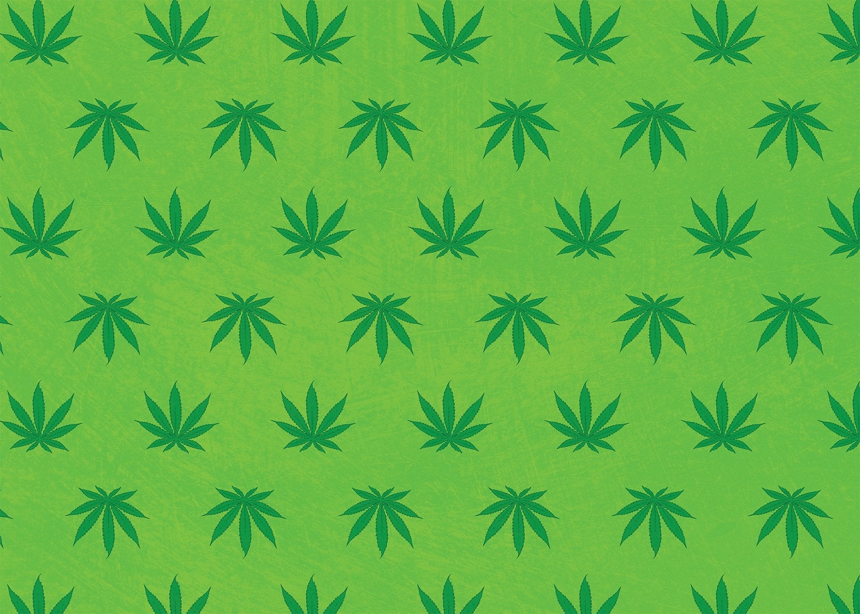 GREEN Leaf Wrapping Paper