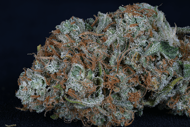 a close up of a green and orange weed