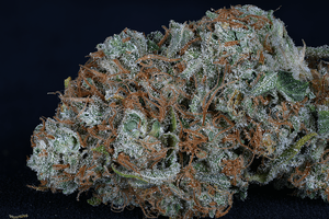 a close up of a green and orange weed