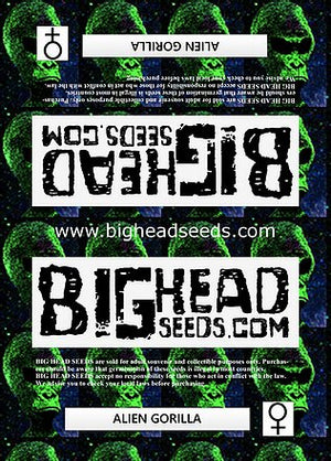 a poster with a bunch of words on it