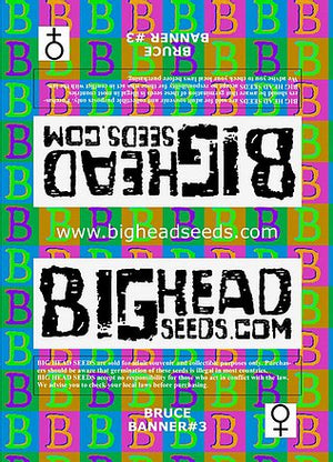 a poster for a bighead seed company