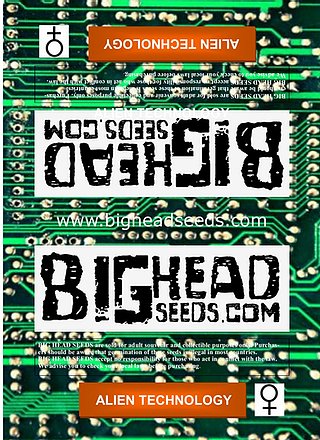 a close up of a circuit board with words on it