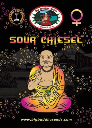 a buddha sitting in front of a black background