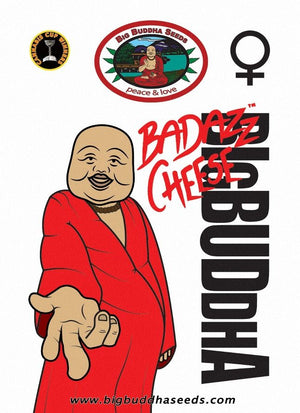 a man in a red robe pointing at the camera