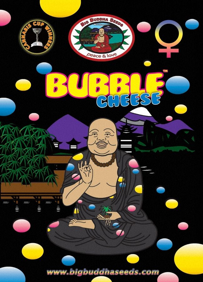 a man sitting in a lotus position with bubbles around him