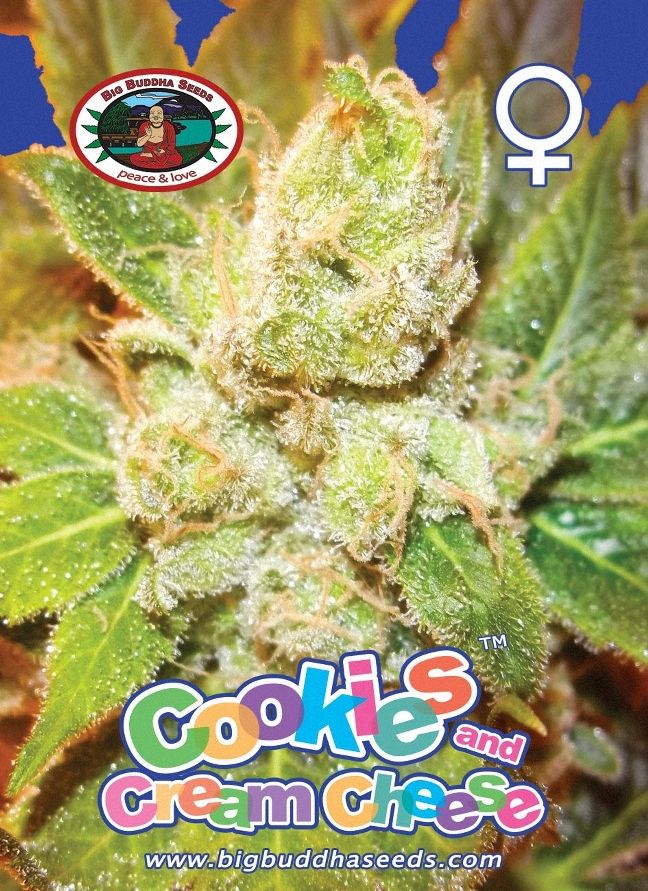 a close up of a marijuana plant with the words cookies and cream cheese on it