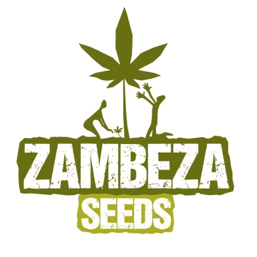 the logo for a cannabis seed company