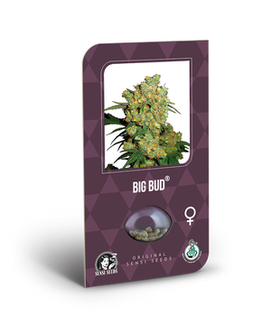 a purple box with a picture of a plant inside of it