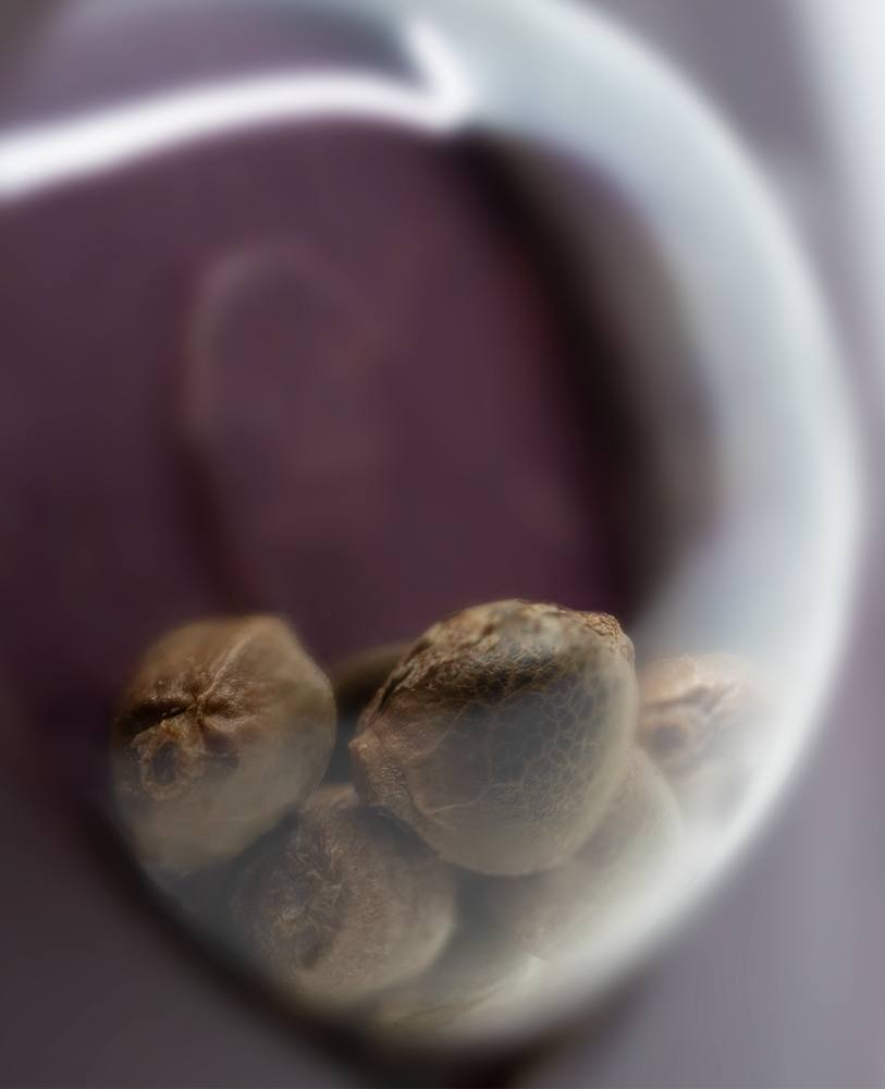 a close up of a glass with some fruit inside of it