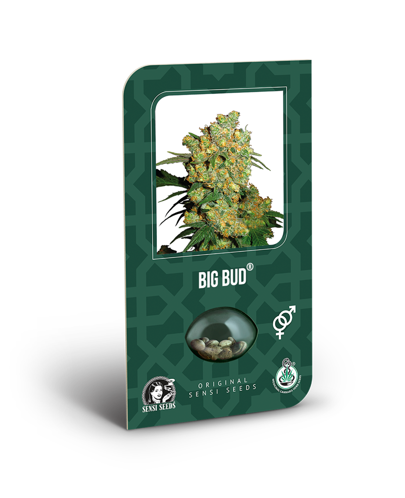 a green box with a picture of a plant inside of it