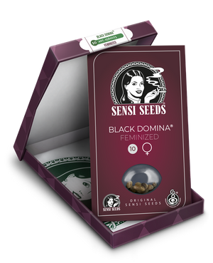 a box of black domina feminized seeds