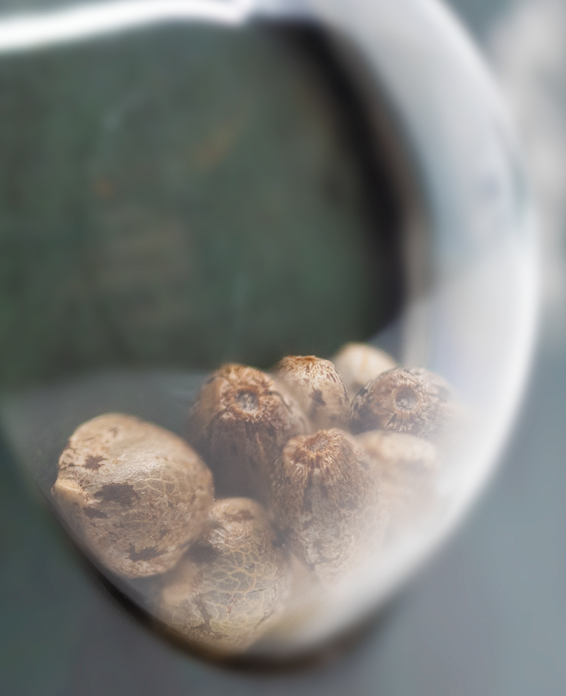 a close up of a spoon with some food in it