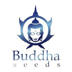 buddha seeds logo