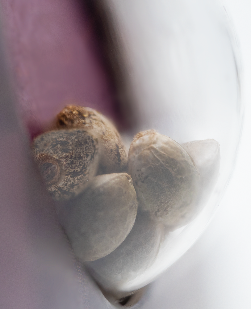 a close up of some nuts in a glass