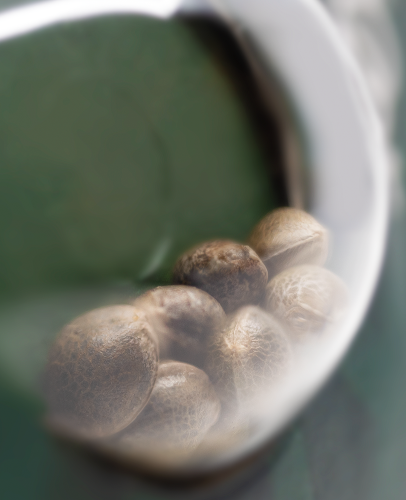 a white bowl filled with nuts on top of a table