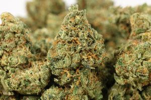 a close up of a bunch of weed