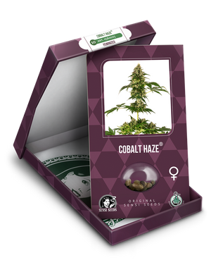 a box with a marijuana plant inside of it