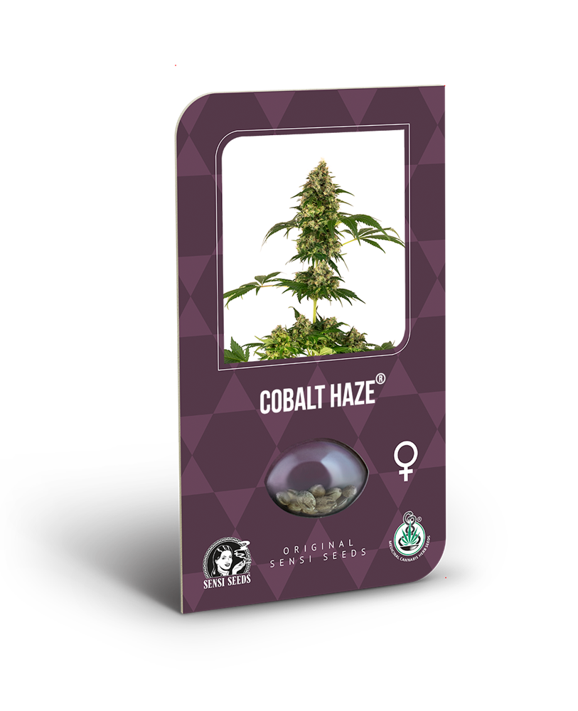 a purple box with a picture of a marijuana plant in it