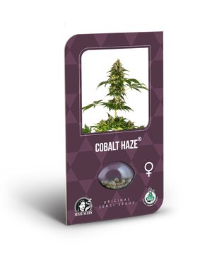 a purple box with a picture of a marijuana plant in it
