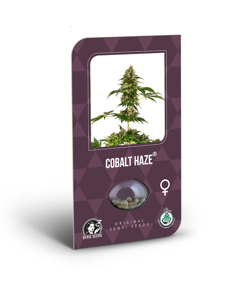 a purple box with a picture of a marijuana plant in it