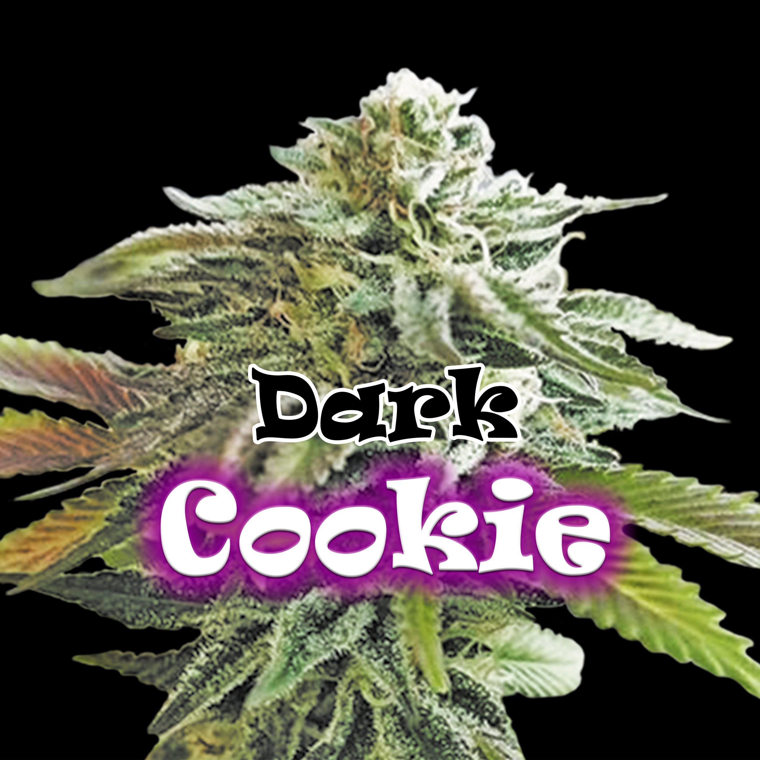 a close up of a plant with the words dark cookie