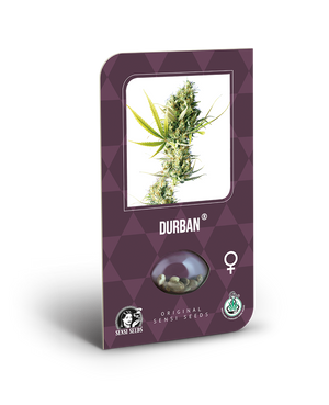 a card with a picture of a marijuana plant