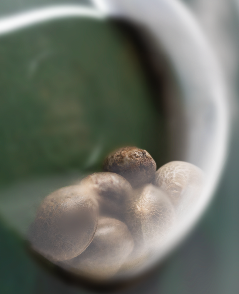 a close up of a bowl of fruit with a blurry background