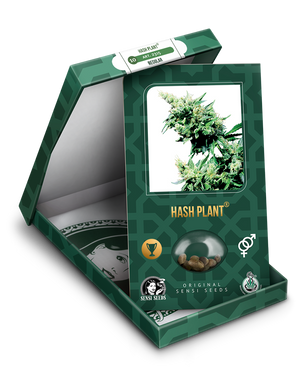 a box with a marijuana plant inside of it