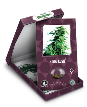 a box with a marijuana plant inside of it